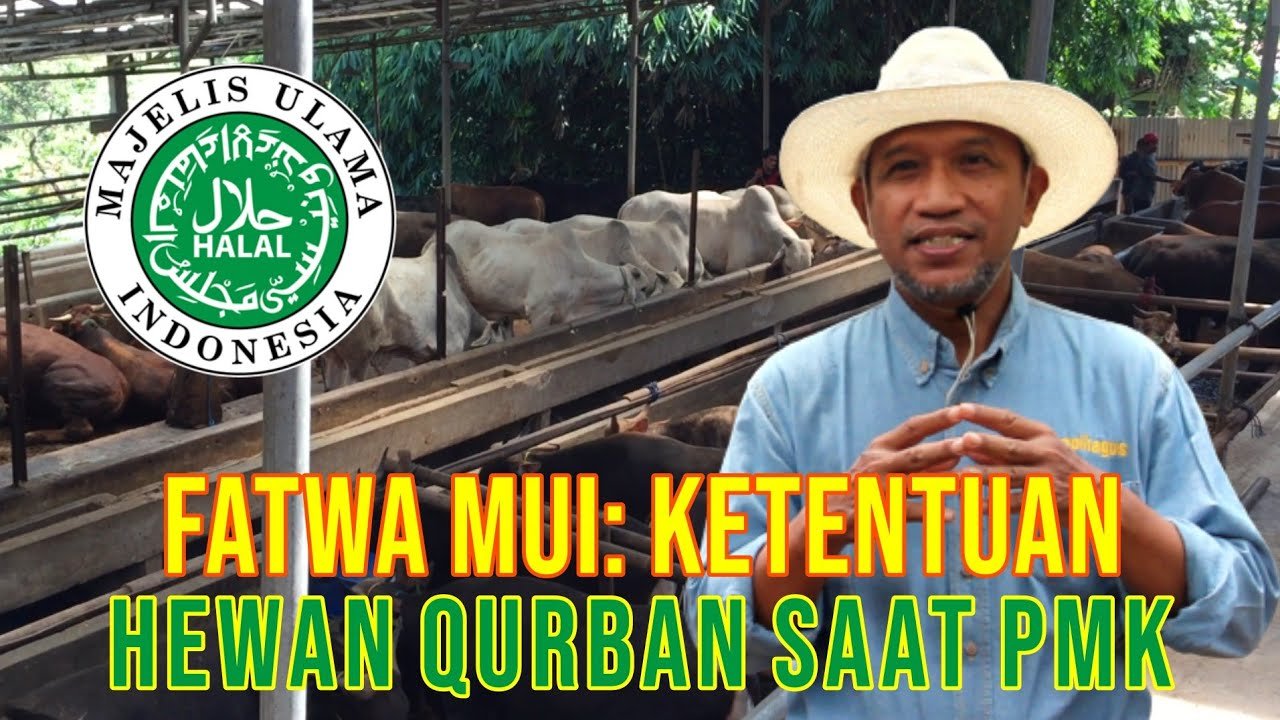 
                                 Ketentuan-Qurban-Saat-PMK